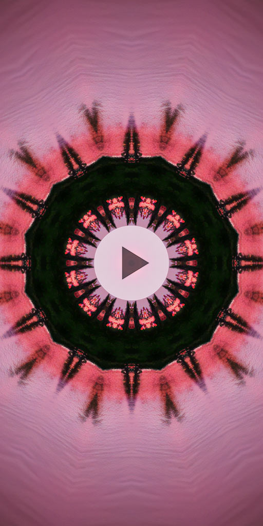 Kaleidoscope in black and pink colors. Live wallpaper