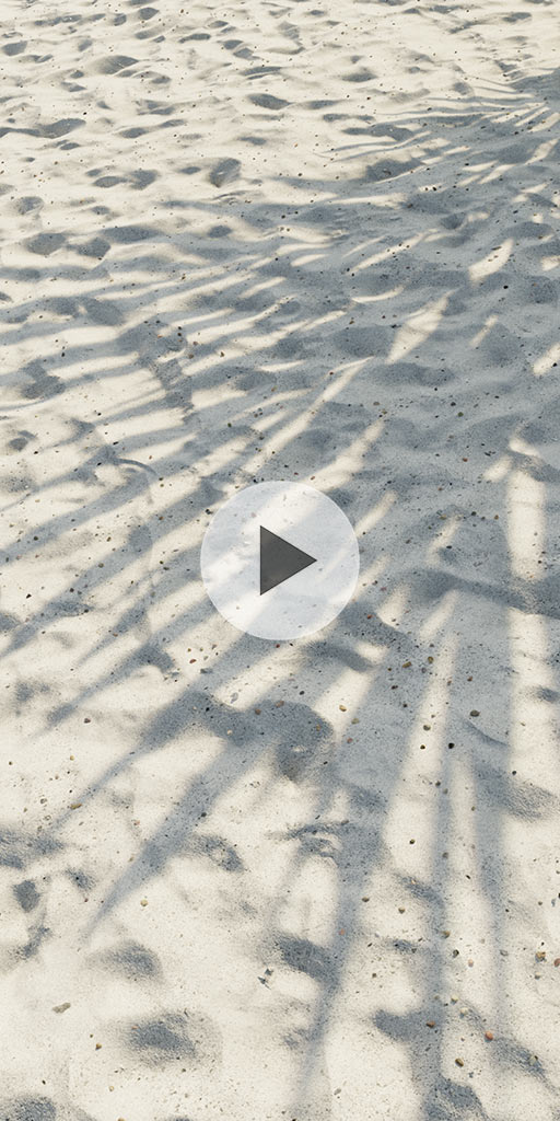 The shadow of a palm tree on the sand. Live wallpaper