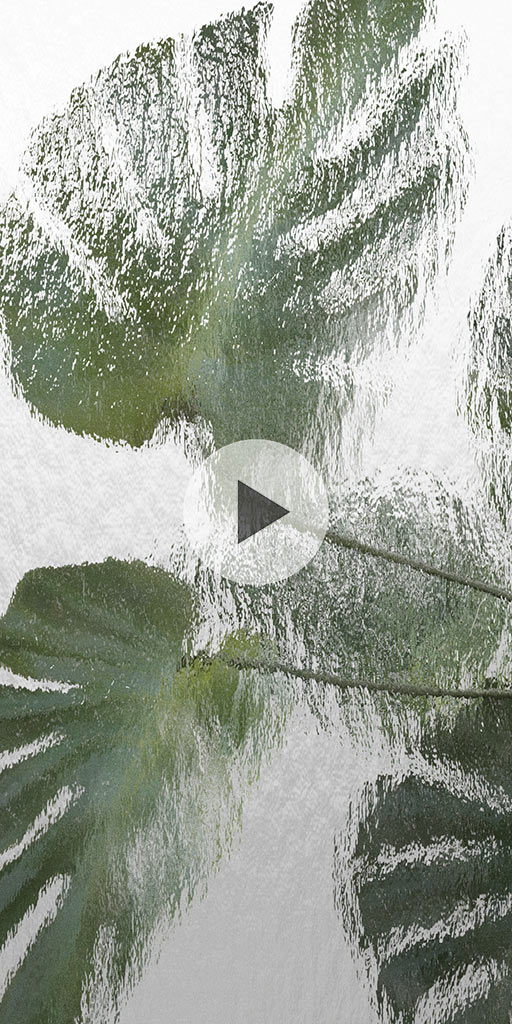 Plant behind a wall of water. Live wallpaper