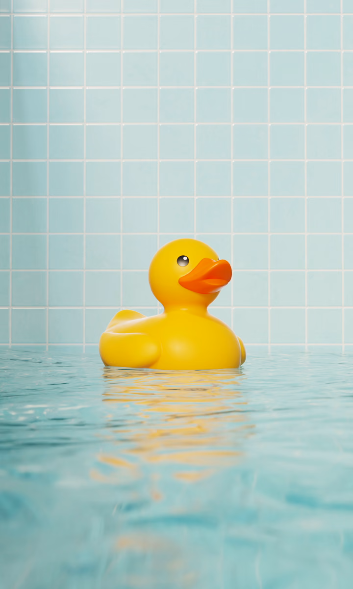 A yellow rubber duck drifts across a swimming pool.