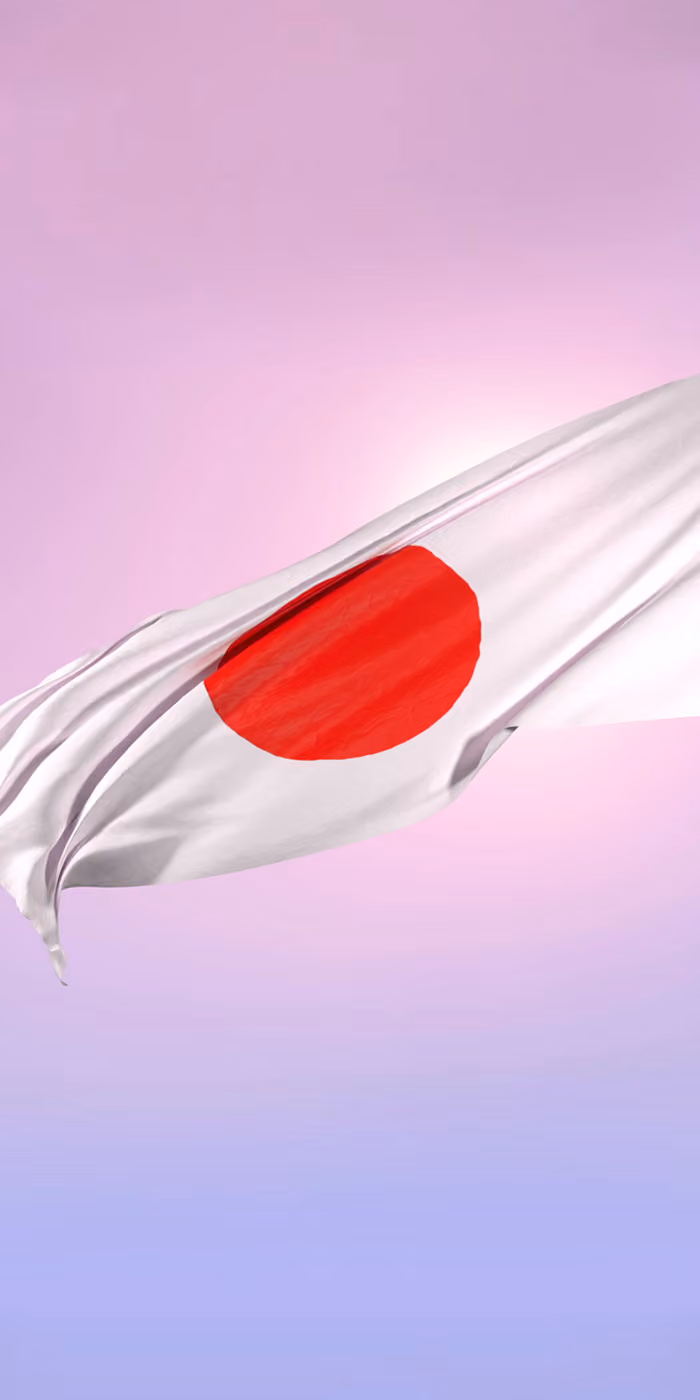 The Japanese flag waves against the sky.