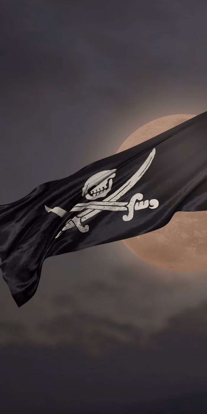 A pirate flag waves in a moonlit night sky.