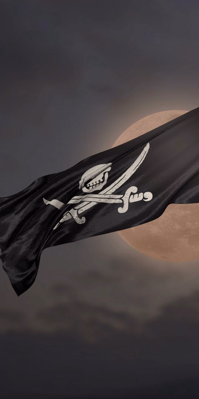 A pirate flag waves in a moonlit night sky.