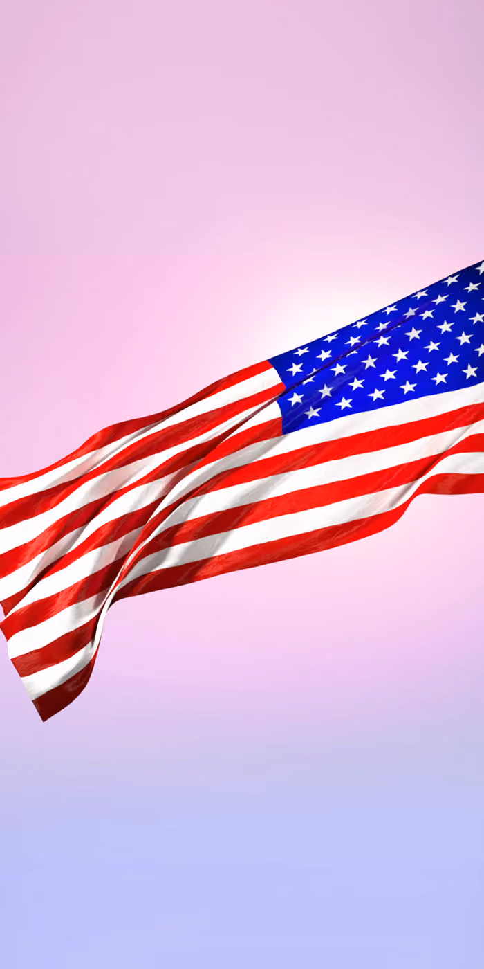 The USA flag waving against the pink sky.