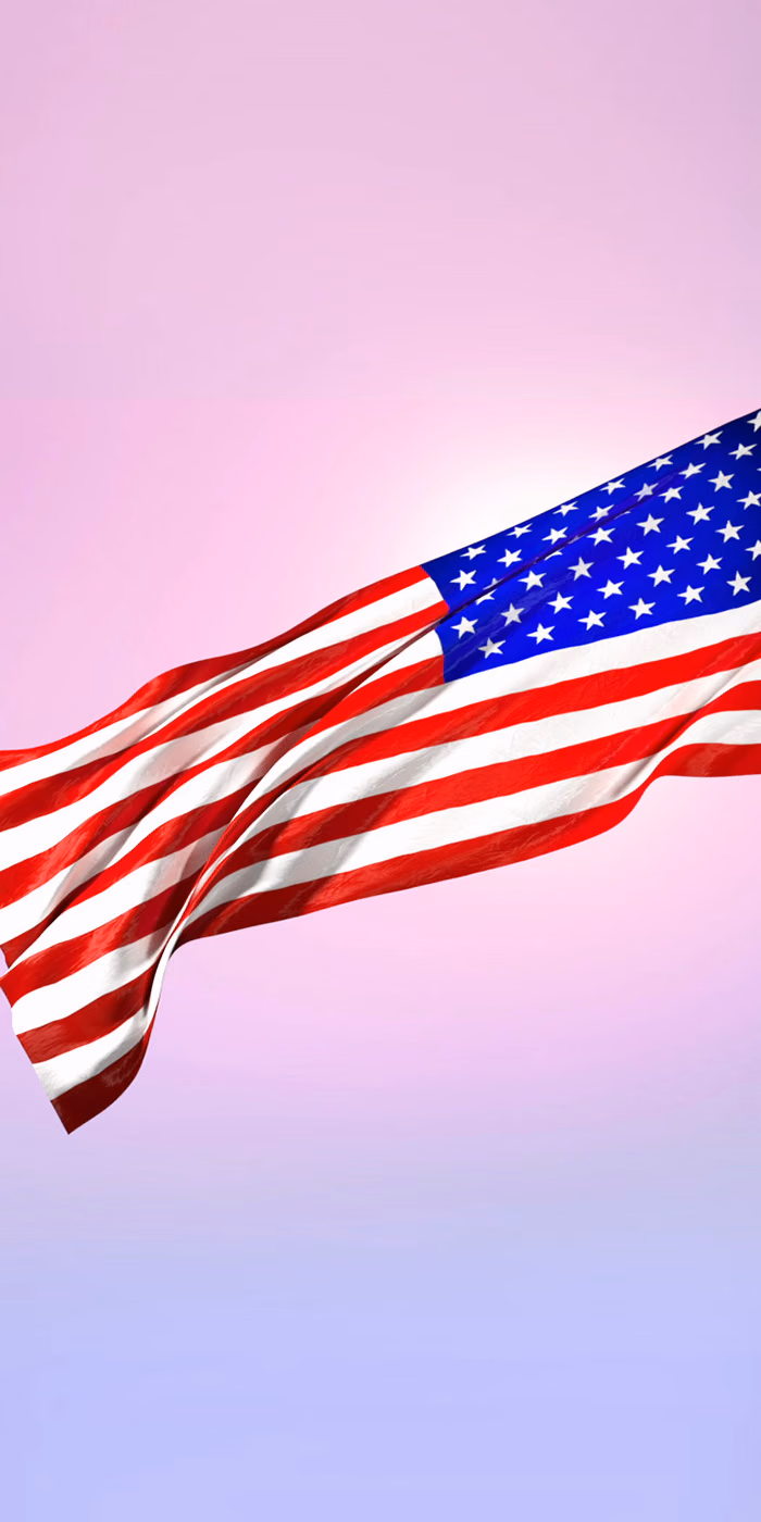 The USA flag waving against the pink sky.