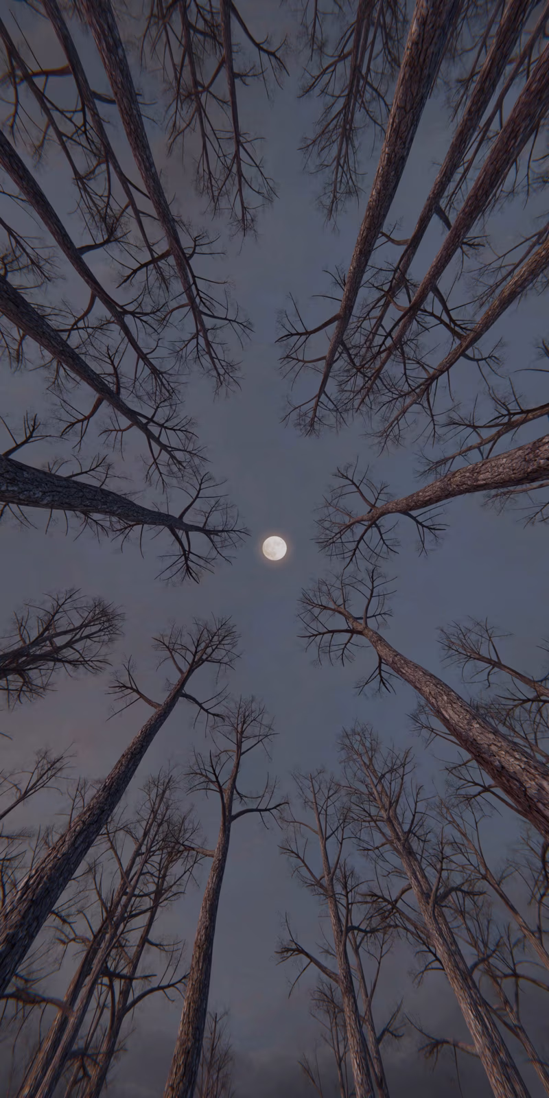 Trees sway beneath the moon in a calm, slightly mysterious night forest.