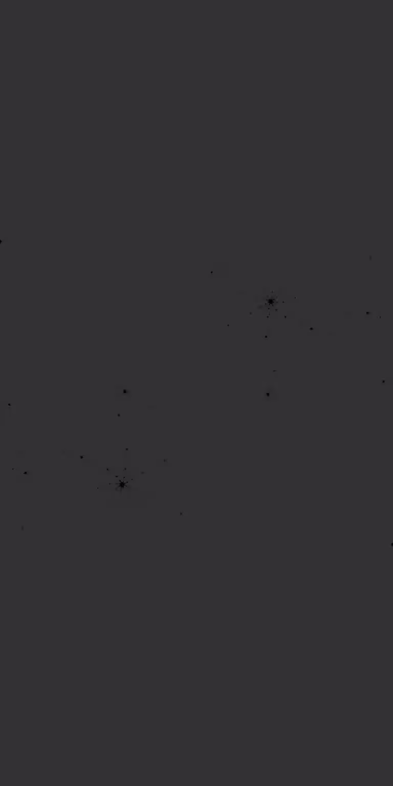 A dark Mandelbrot fractal unfolds in a seamless loop.