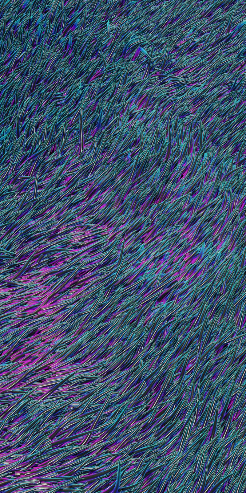Colorful blades of grass sway in the wind.