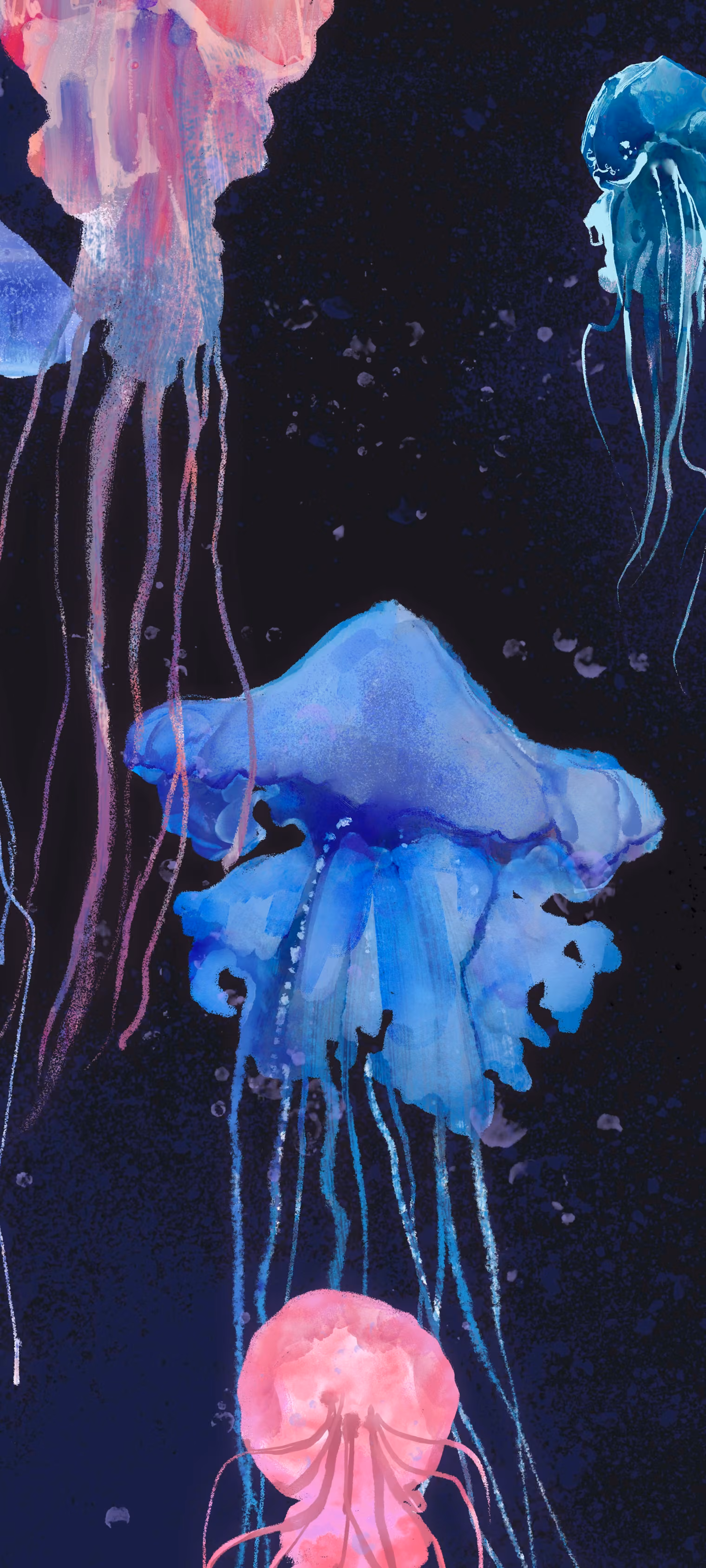 Jellyfishes swim in black water.
