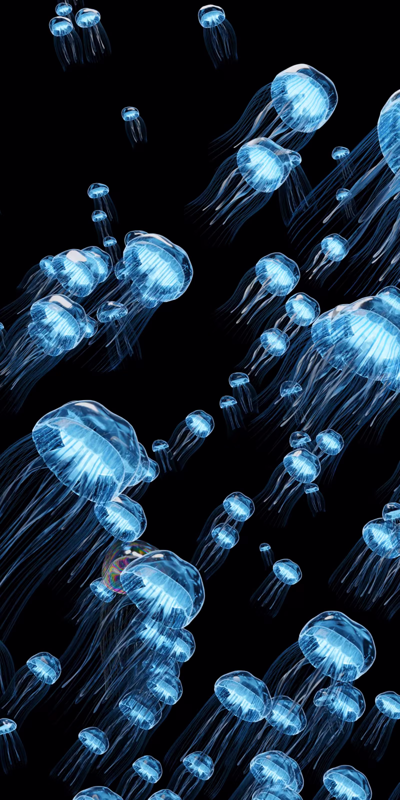 Blue jellyfish swim in the dark depths of the ocean.