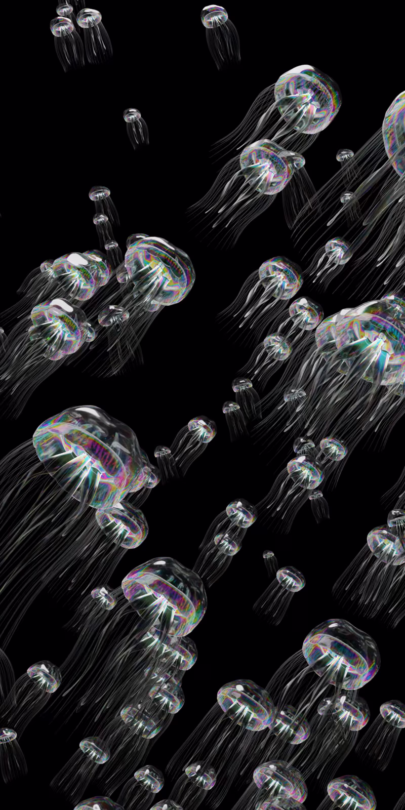A flock of jellyfish shimmers with rainbow colors.