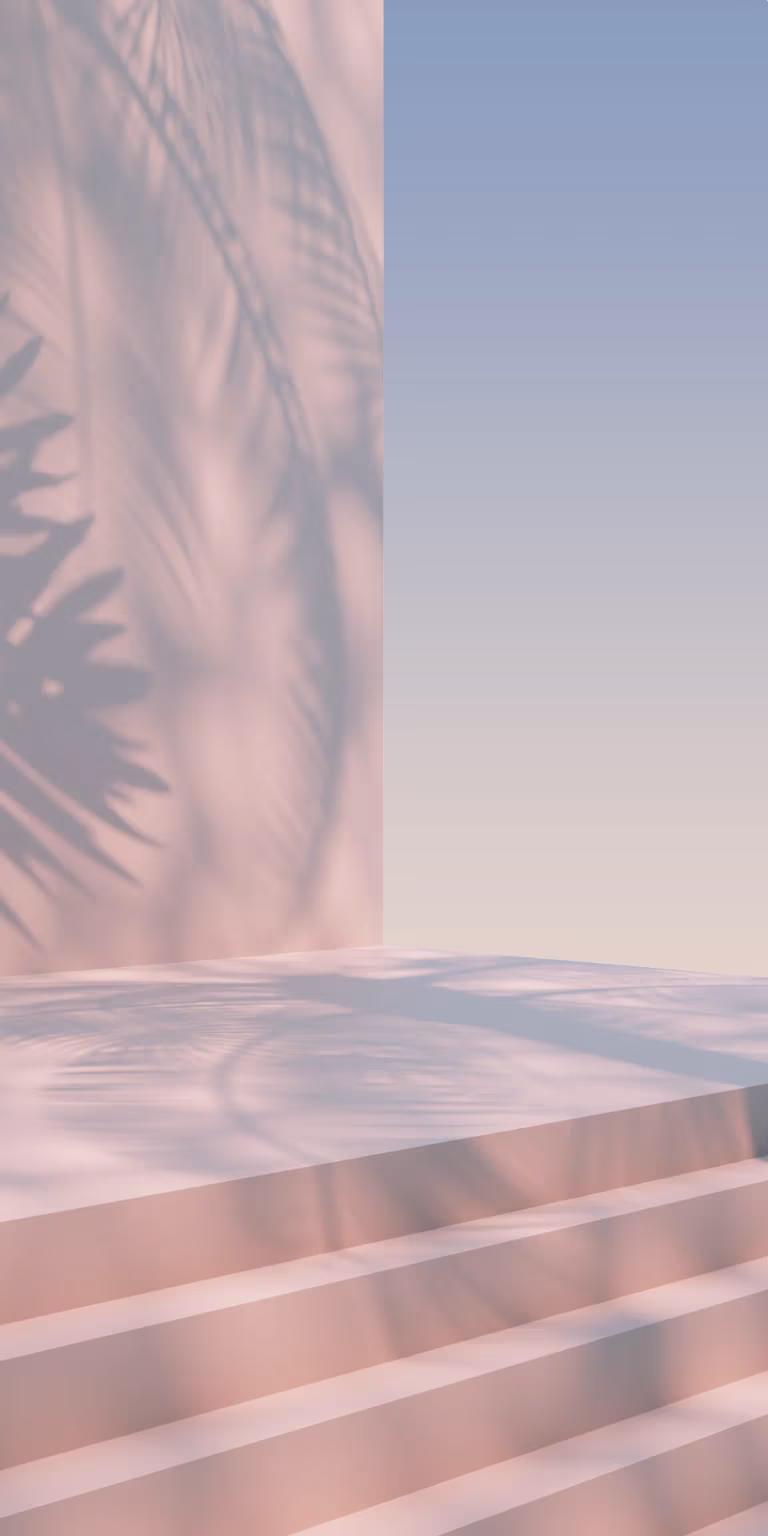 Palm tree shadow. Wall. Sky. Shadow movement.