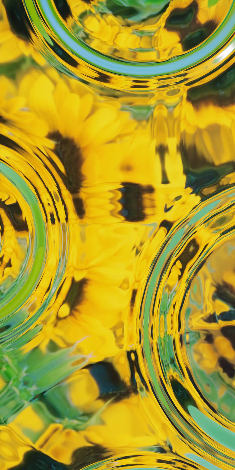 Ripples spread across water reflecting yellow flowers.