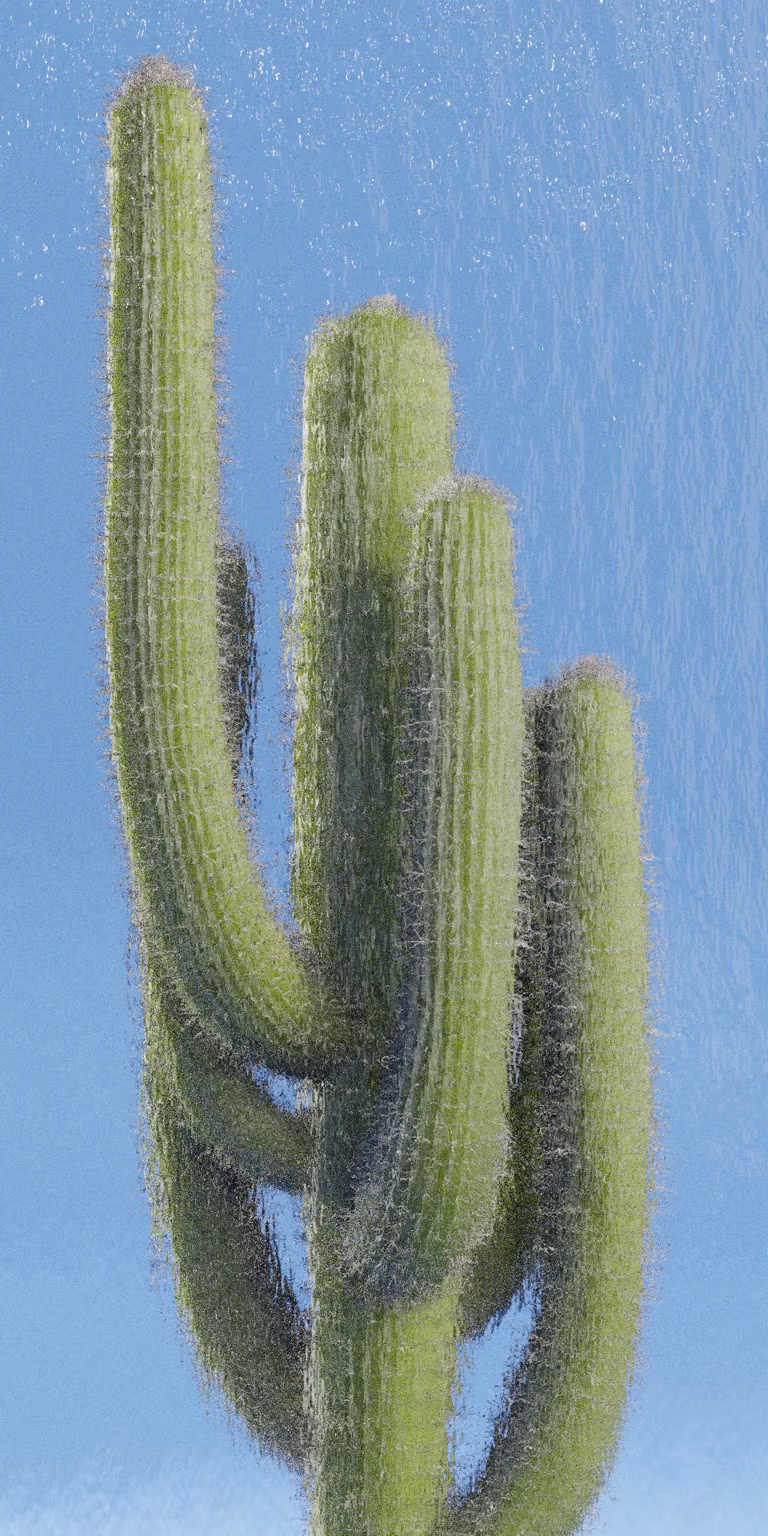A wall of water distorts the reflection of a cactus.