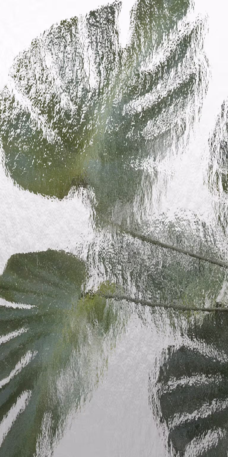 A wall of water distorts the reflection of a plant.